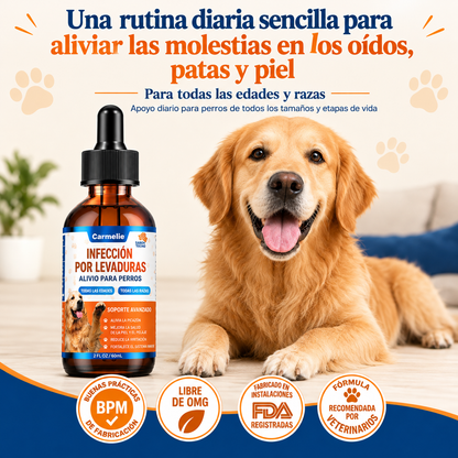 CARMELIE YEAST INFECTION FOR  DOGS™ +ENVÍO GRATIS