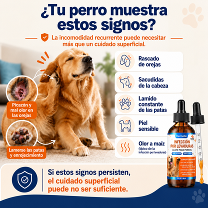 CARMELIE YEAST INFECTION FOR  DOGS™ +ENVÍO GRATIS